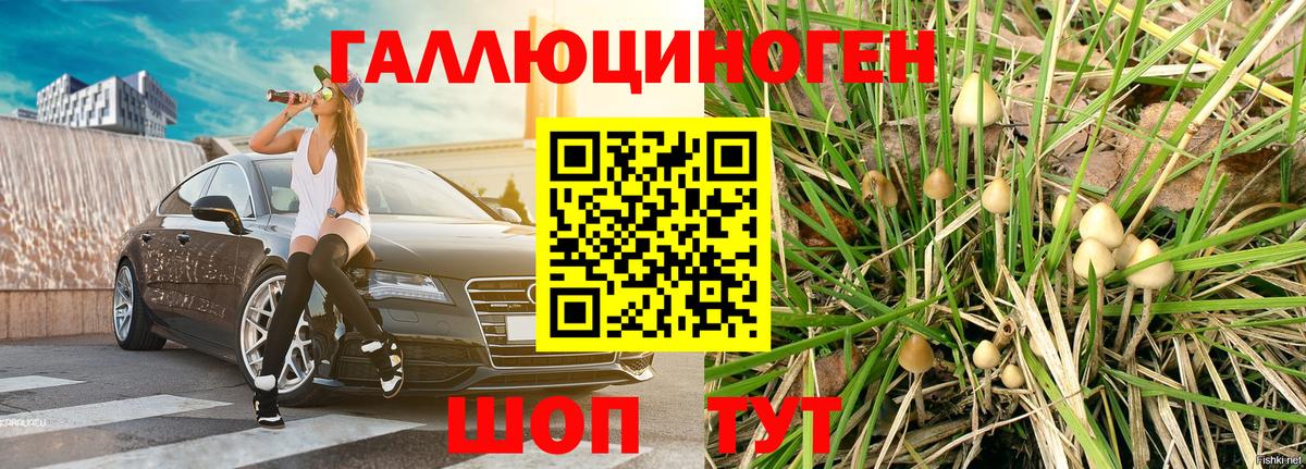 Галлюциногенные грибы Magic Shrooms  Вход с VPN  Набережные Челны  Псилоцибиновые грибы Magic Shrooms 