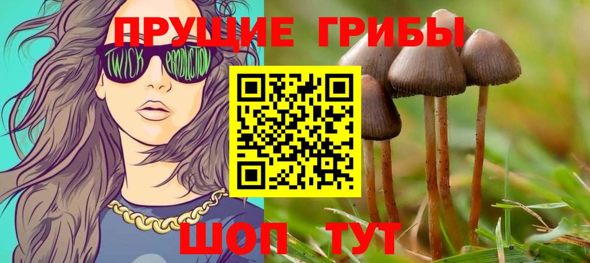 Галлюциногенные грибы Psilocybine cubensis Набережные Челны